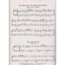 Owens Dewey - 20 Welsh songs