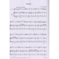 Lefevre Jean-Xavier - Sonate en sol mineur (clarinette & harpe)