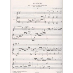 Damase Jean-Michel - Cadence pour le concerto pour fl