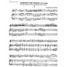 Mozart Wolfgang Amadeus - Cadences du concerto pour fl