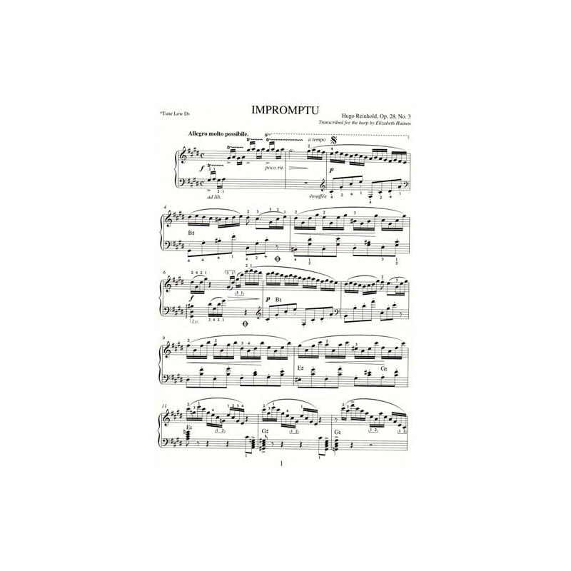 Reinhold Hugo - Impromptu (Arr. Hainen Elizabeth)