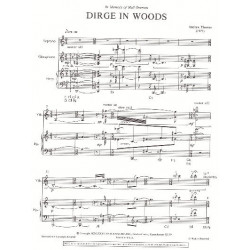 Thomas Andrews - Dirge in woods