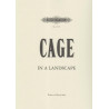 Cage John - In a Landscape