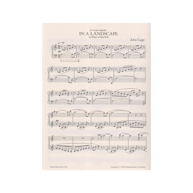 Cage John - In a Landscape