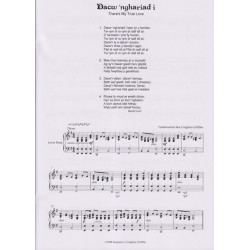 Creighton Griffiths Benjamin - Dacw 'nghariad i (there my true love) (lever harp)