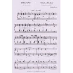 Ymsonau - Soliloquies