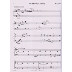 Scott Andy - Sonata (flute & harp)