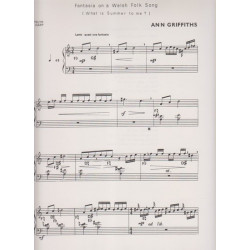 Griffiths Ann - Beth yw'r haf i mi ?