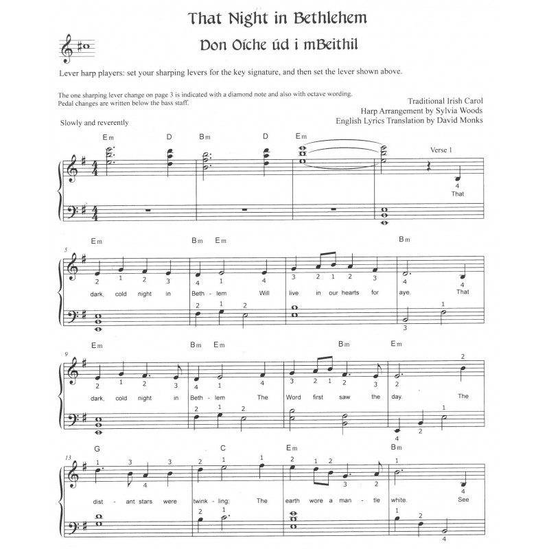 Woods Sylvia - That Night in Bethlehem