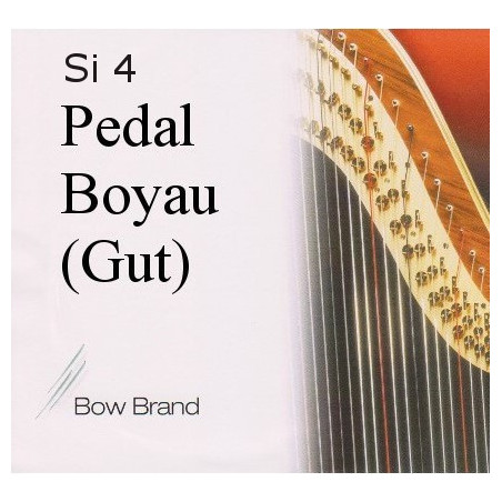 Bow Brand 04 (B) Si Boyau (octave 1)