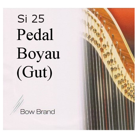 Bow Brand 25 (B) Si Boyau (octave 4)