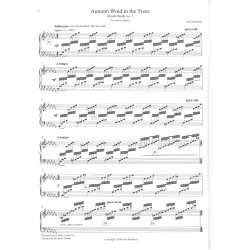 Rothstein Sue - The dream studies