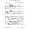 Castelnuovo - Tedesco Mario / Concertino (harpe & orchestre de chambre)