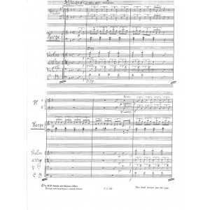Naderman François-Joseph - Trois pièces pour harpe & orchestre de chambre