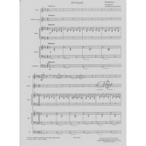 Schubert Franz - Tochkova Y. - Sérénade (2 clarinettes, contrebasse, violon & 2 harpes)