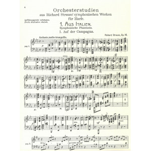Strauss Richard - Orchesterstudien vol.I