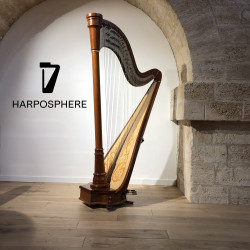 Occasion - Harpe Camac Vendôme