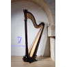 Harpe Aoyama - Orpheus - 46 cordes table droite finition : brun