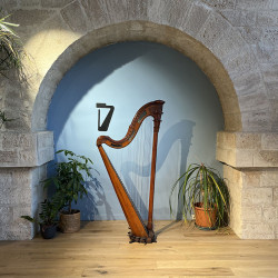 RENAULT Harpe (occasion)
