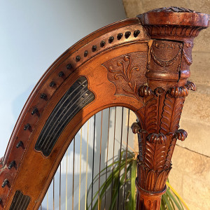 RENAULT Harpe (occasion)
